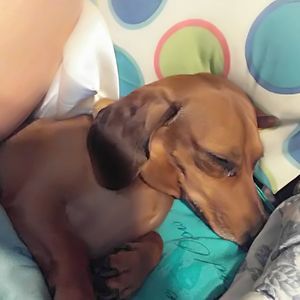 Meet your Posher, Lisa lisa